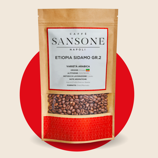 Caffè Etiopia Sidamo Grade 2 - Arabica 100% Alta Quota